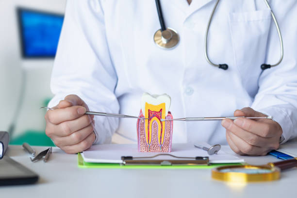 Best Emergency Dental Services for Seniors in Frewsburg, NY